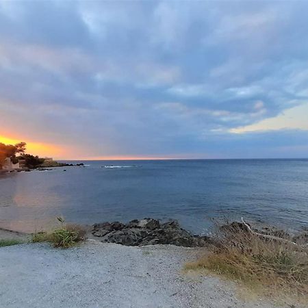 Charmant Appartement Vue Mer A 100M De La Plage. Сен-Глф Экстерьер фото